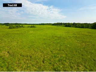 Property photo 77 - SESSION A - QUALITY TILLABLE LAND AUCTION - 5,113+/- ACRES OFFERED IN 75 TRACTS IN BARRON, DUNN, POLK, & CHIPPEWA COUNTIES, WI (PART OF A 7,428+/- ACRES IN 6 WISCONSIN COUNTIES)
