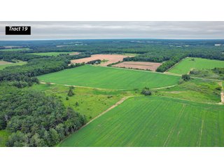 Property photo 16 - SESSION B - QUALITY TILLABLE LAND AUCTION - 2,315+/- ACRES OFFERED IN 28 TRACTS IN MARATHON & CLARK COUNTIES, WI (PART OF A 7,428+/- ACRES IN 6 WISCONSIN COUNTIES)