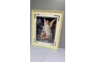 Property photo 151 - TIMED ONLINE ONLY PERSONAL PROPERTY AUCTION IN ALLEN COUNTY, INDIANA