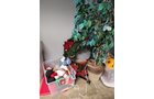 Property photo 210 - TIMED ONLINE ONLY PERSONAL PROPERTY AUCTION IN ALLEN COUNTY, INDIANA