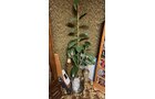 Property photo 602 - TIMED ONLINE ONLY PERSONAL PROPERTY AUCTION IN ALLEN COUNTY, INDIANA