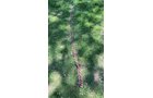 Property photo 435 - TIMED ONLINE ONLY PERSONAL PROPERTY AUCTION IN ALLEN COUNTY, INDIANA