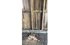 Property photo 438 - TIMED ONLINE ONLY PERSONAL PROPERTY AUCTION IN ALLEN COUNTY, INDIANA