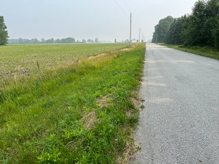 Property photo 43 - FARM LAND AUCTION 80+/- ACRES OFFERED IN 5 TRACTS IN ALLEN COUNTY, INDIANA