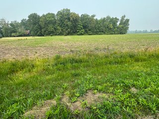Property photo 42 - FARM LAND AUCTION 80+/- ACRES OFFERED IN 5 TRACTS IN ALLEN COUNTY, INDIANA