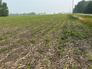 Property photo 41 - FARM LAND AUCTION 80+/- ACRES OFFERED IN 5 TRACTS IN ALLEN COUNTY, INDIANA