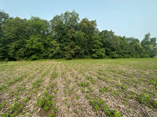 Property photo 40 - FARM LAND AUCTION 80+/- ACRES OFFERED IN 5 TRACTS IN ALLEN COUNTY, INDIANA