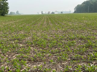 Property photo 39 - FARM LAND AUCTION 80+/- ACRES OFFERED IN 5 TRACTS IN ALLEN COUNTY, INDIANA