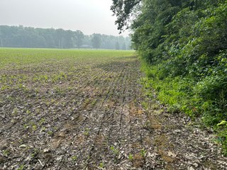 Property photo 32 - FARM LAND AUCTION 80+/- ACRES OFFERED IN 5 TRACTS IN ALLEN COUNTY, INDIANA