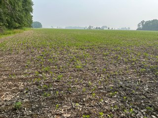 Property photo 31 - FARM LAND AUCTION 80+/- ACRES OFFERED IN 5 TRACTS IN ALLEN COUNTY, INDIANA