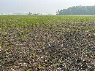 Property photo 18 - FARM LAND AUCTION 80+/- ACRES OFFERED IN 5 TRACTS IN ALLEN COUNTY, INDIANA