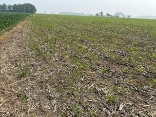 Property photo 20 - FARM LAND AUCTION 80+/- ACRES OFFERED IN 5 TRACTS IN ALLEN COUNTY, INDIANA