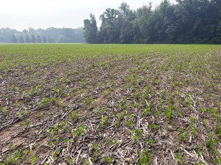 Property photo 23 - FARM LAND AUCTION 80+/- ACRES OFFERED IN 5 TRACTS IN ALLEN COUNTY, INDIANA
