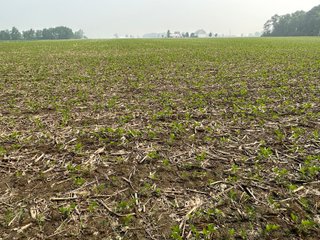 Property photo 59 - FARM LAND AUCTION 80+/- ACRES OFFERED IN 5 TRACTS IN ALLEN COUNTY, INDIANA
