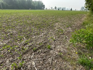 Property photo 45 - FARM LAND AUCTION 80+/- ACRES OFFERED IN 5 TRACTS IN ALLEN COUNTY, INDIANA