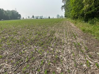 Property photo 46 - FARM LAND AUCTION 80+/- ACRES OFFERED IN 5 TRACTS IN ALLEN COUNTY, INDIANA