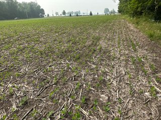 Property photo 47 - FARM LAND AUCTION 80+/- ACRES OFFERED IN 5 TRACTS IN ALLEN COUNTY, INDIANA