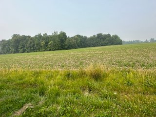 Property photo 50 - FARM LAND AUCTION 80+/- ACRES OFFERED IN 5 TRACTS IN ALLEN COUNTY, INDIANA