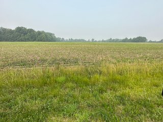 Property photo 52 - FARM LAND AUCTION 80+/- ACRES OFFERED IN 5 TRACTS IN ALLEN COUNTY, INDIANA