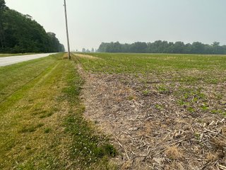 Property photo 53 - FARM LAND AUCTION 80+/- ACRES OFFERED IN 5 TRACTS IN ALLEN COUNTY, INDIANA