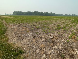 Property photo 54 - FARM LAND AUCTION 80+/- ACRES OFFERED IN 5 TRACTS IN ALLEN COUNTY, INDIANA