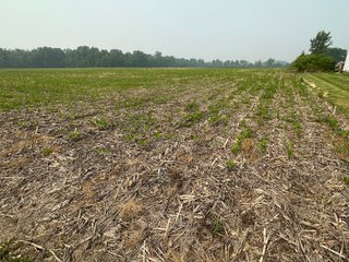 Property photo 55 - FARM LAND AUCTION 80+/- ACRES OFFERED IN 5 TRACTS IN ALLEN COUNTY, INDIANA