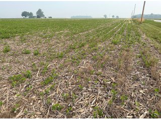 Property photo 44 - FARM LAND AUCTION 80+/- ACRES OFFERED IN 5 TRACTS IN ALLEN COUNTY, INDIANA