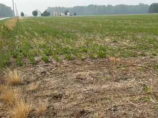 Property photo 62 - FARM LAND AUCTION 80+/- ACRES OFFERED IN 5 TRACTS IN ALLEN COUNTY, INDIANA