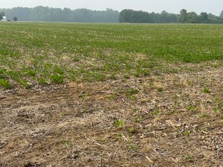 Property photo 63 - FARM LAND AUCTION 80+/- ACRES OFFERED IN 5 TRACTS IN ALLEN COUNTY, INDIANA