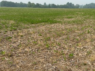Property photo 64 - FARM LAND AUCTION 80+/- ACRES OFFERED IN 5 TRACTS IN ALLEN COUNTY, INDIANA