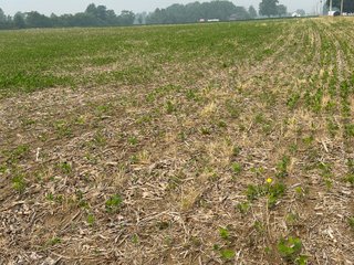 Property photo 65 - FARM LAND AUCTION 80+/- ACRES OFFERED IN 5 TRACTS IN ALLEN COUNTY, INDIANA