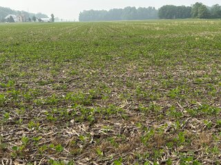 Property photo 66 - FARM LAND AUCTION 80+/- ACRES OFFERED IN 5 TRACTS IN ALLEN COUNTY, INDIANA