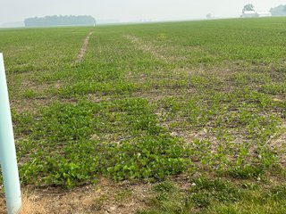 Property photo 67 - FARM LAND AUCTION 80+/- ACRES OFFERED IN 5 TRACTS IN ALLEN COUNTY, INDIANA