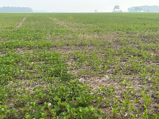 Property photo 68 - FARM LAND AUCTION 80+/- ACRES OFFERED IN 5 TRACTS IN ALLEN COUNTY, INDIANA