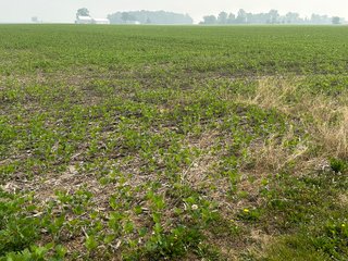 Property photo 69 - FARM LAND AUCTION 80+/- ACRES OFFERED IN 5 TRACTS IN ALLEN COUNTY, INDIANA