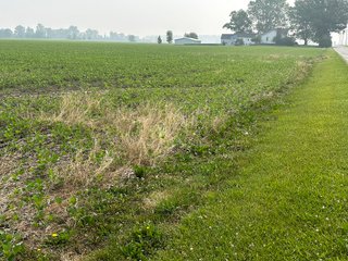 Property photo 70 - FARM LAND AUCTION 80+/- ACRES OFFERED IN 5 TRACTS IN ALLEN COUNTY, INDIANA