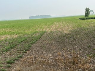 Property photo 72 - FARM LAND AUCTION 80+/- ACRES OFFERED IN 5 TRACTS IN ALLEN COUNTY, INDIANA