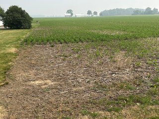 Property photo 73 - FARM LAND AUCTION 80+/- ACRES OFFERED IN 5 TRACTS IN ALLEN COUNTY, INDIANA