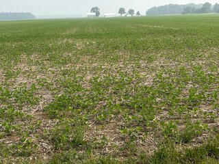 Property photo 30 - FARM LAND AUCTION 80+/- ACRES OFFERED IN 5 TRACTS IN ALLEN COUNTY, INDIANA