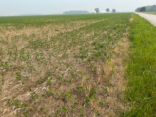 Property photo 28 - FARM LAND AUCTION 80+/- ACRES OFFERED IN 5 TRACTS IN ALLEN COUNTY, INDIANA