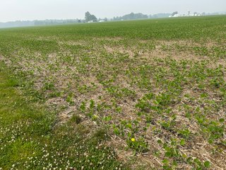 Property photo 25 - FARM LAND AUCTION 80+/- ACRES OFFERED IN 5 TRACTS IN ALLEN COUNTY, INDIANA