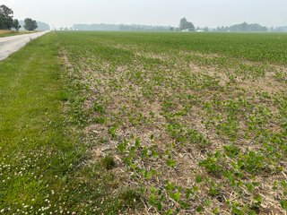 Property photo 24 - FARM LAND AUCTION 80+/- ACRES OFFERED IN 5 TRACTS IN ALLEN COUNTY, INDIANA