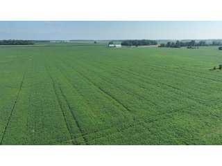 Property photo 12 - FARM LAND AUCTION 80+/- ACRES OFFERED IN 5 TRACTS IN ALLEN COUNTY, INDIANA