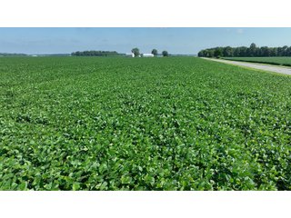 Property photo 16 - FARM LAND AUCTION 80+/- ACRES OFFERED IN 5 TRACTS IN ALLEN COUNTY, INDIANA