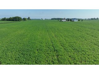Property photo 5 - FARM LAND AUCTION 80+/- ACRES OFFERED IN 5 TRACTS IN ALLEN COUNTY, INDIANA