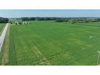 Property photo 8 - FARM LAND AUCTION 80+/- ACRES OFFERED IN 5 TRACTS IN ALLEN COUNTY, INDIANA