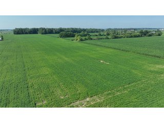 Property photo 9 - FARM LAND AUCTION 80+/- ACRES OFFERED IN 5 TRACTS IN ALLEN COUNTY, INDIANA