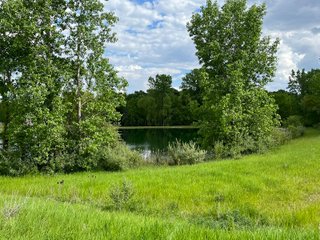 Property photo 22 - HOMES & LAND AUCTION - 32.5+/- ACRES OFFERED IN 3 TRACTS IN ALLEN COUNTY, INDIANA