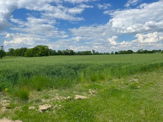 Property photo 25 - HOMES & LAND AUCTION - 32.5+/- ACRES OFFERED IN 3 TRACTS IN ALLEN COUNTY, INDIANA