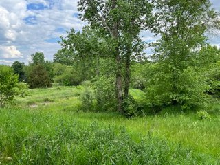Property photo 26 - HOMES & LAND AUCTION - 32.5+/- ACRES OFFERED IN 3 TRACTS IN ALLEN COUNTY, INDIANA